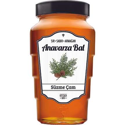 Anavarza Çam Balı 450 GR