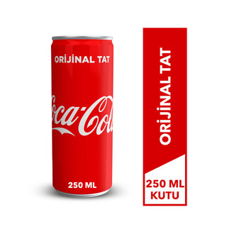 Coca-Cola 250 Ml Kutu