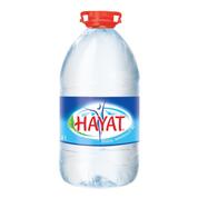 Hayat 5 lt Su