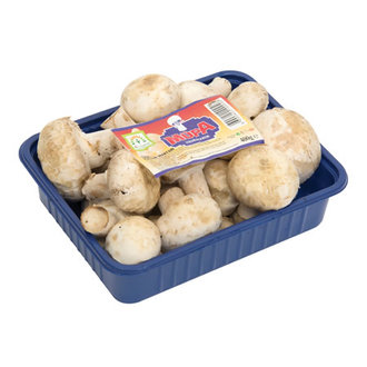 Mantar 400 G